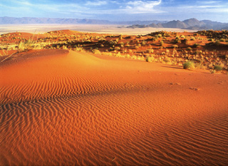 Sandwellen in den Duenen